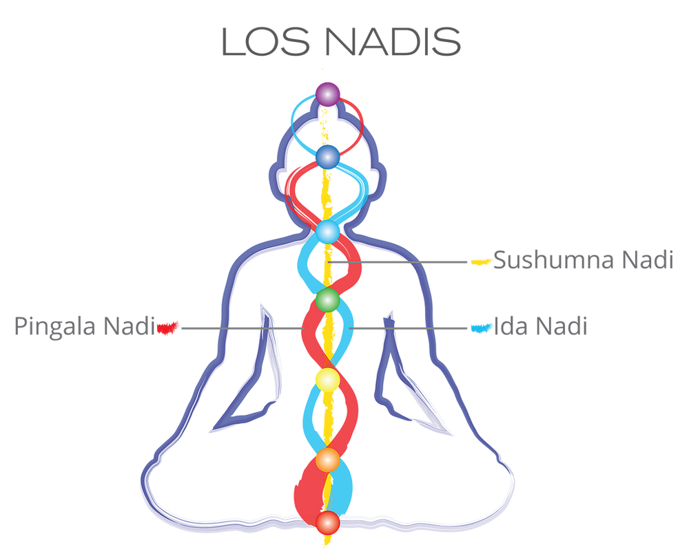 Revista 4 Representación de los Nadis