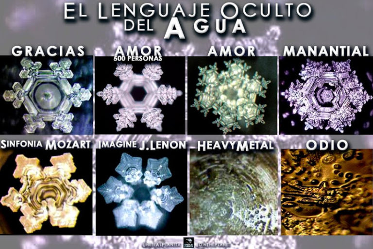 Información Curso Reiki Primer nivel 9 Panel con varios cristales de agua (diferentes estímulos)