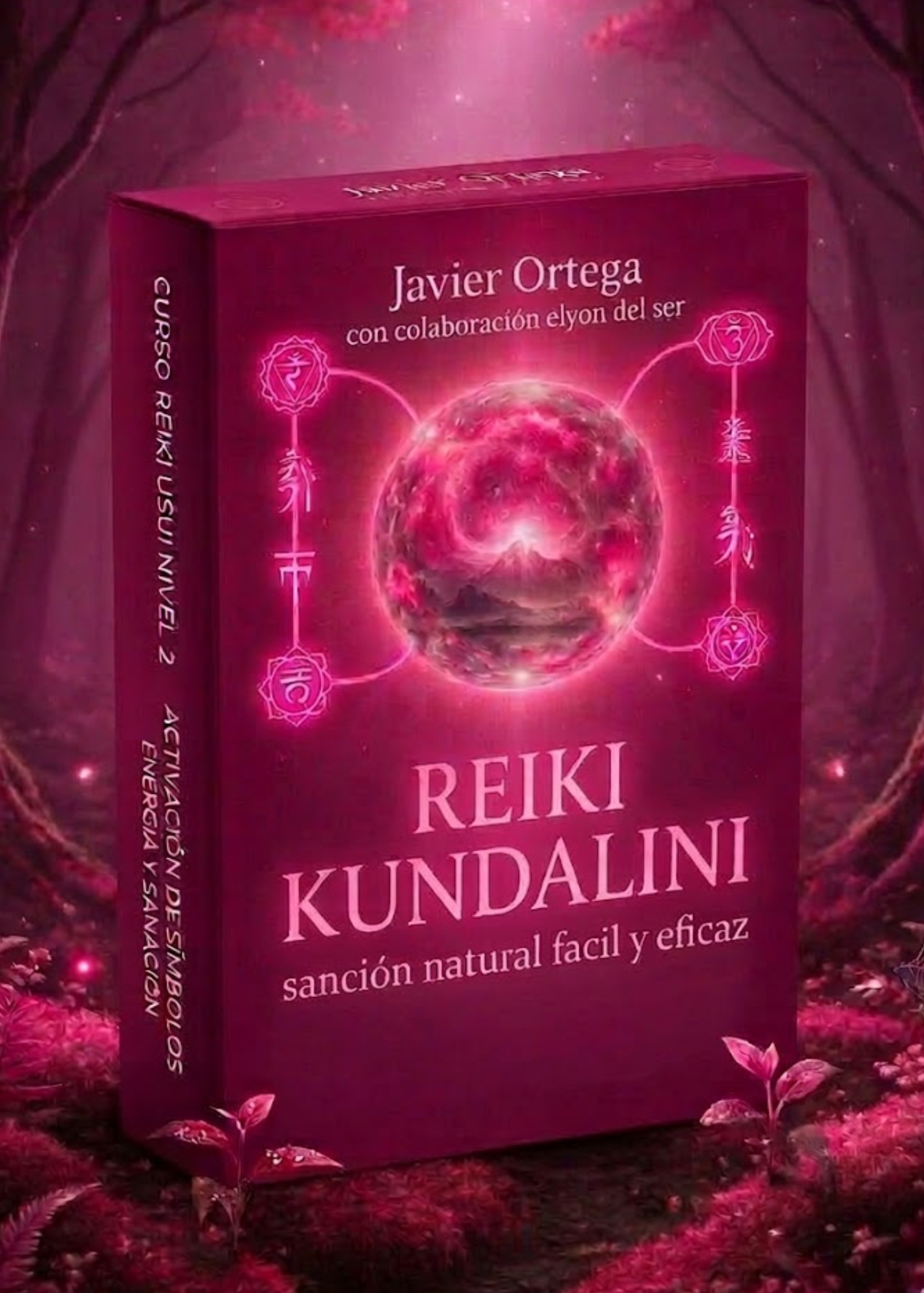 Primer Curso de Reiki Kundalini